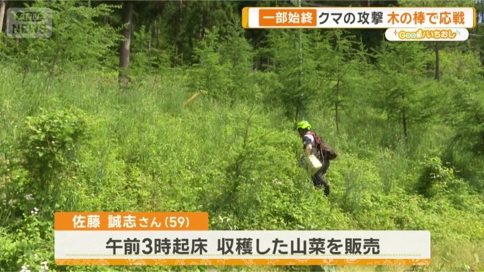 山では何度もクマを目撃