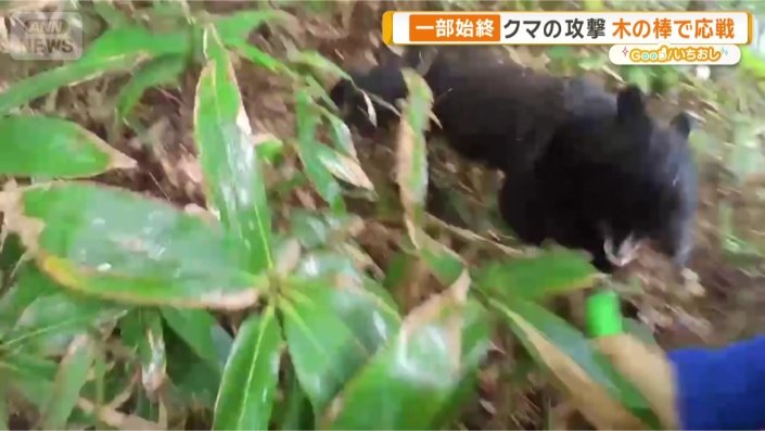 20秒を超えるクマとの格闘