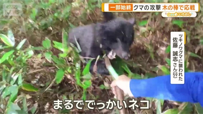 「手をふるスピードが速く見えなかった」