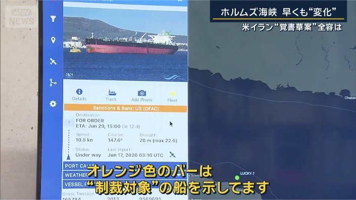 東京大学大学院 渡邉英徳教授
