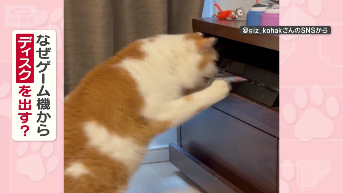 なぜゲーム機からディスクを出す?