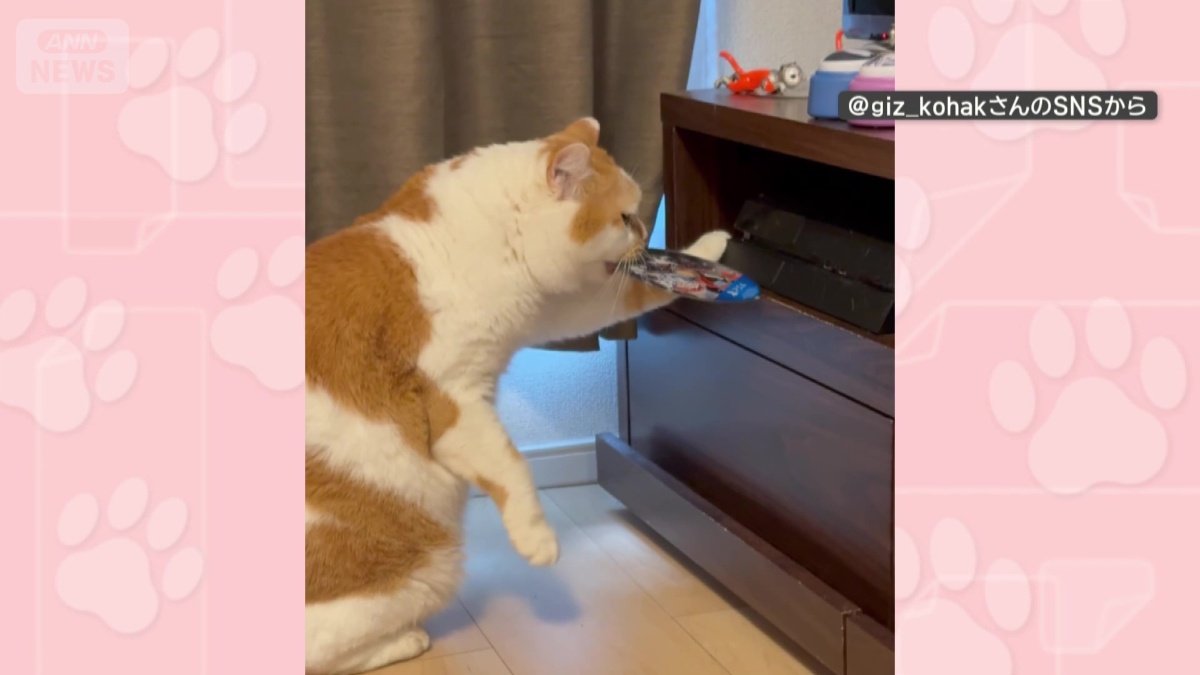 くわえて落とす