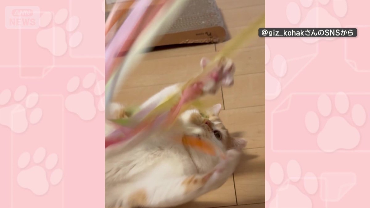 元気に遊ぶ