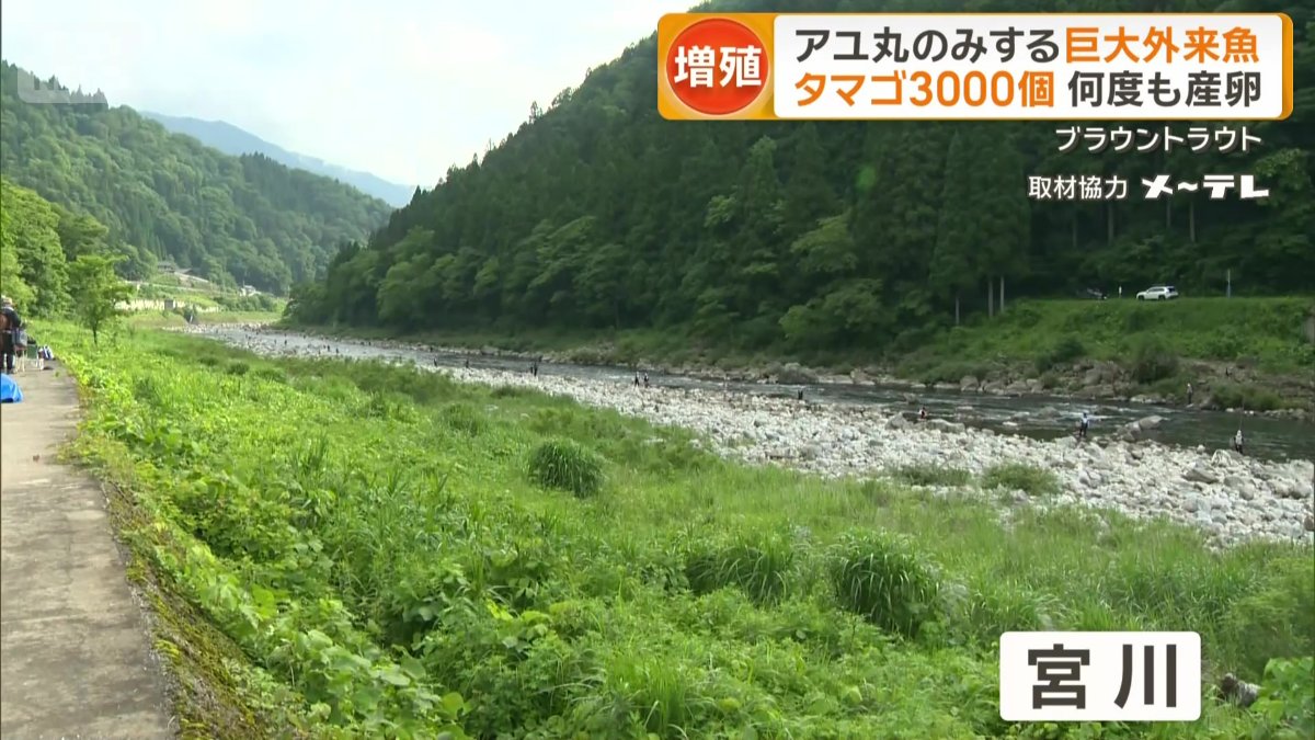 岐阜県北部を流れる宮川