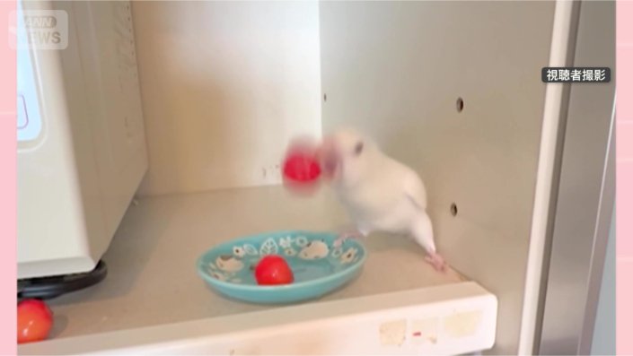 まだまだポイッ！