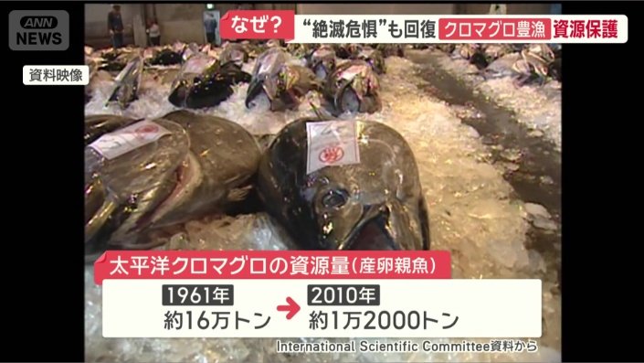 資源量が回復