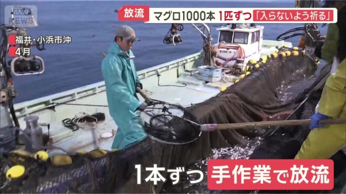 福井県小浜市でも…