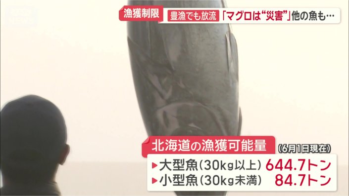 北海道の漁獲可能量