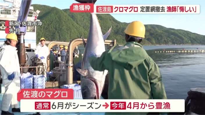 新潟県佐渡島でも…