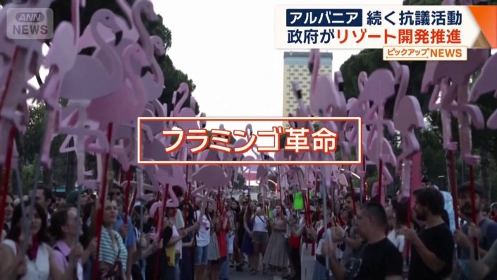 抗議活動は「フラミンゴ革命」と呼ばれている