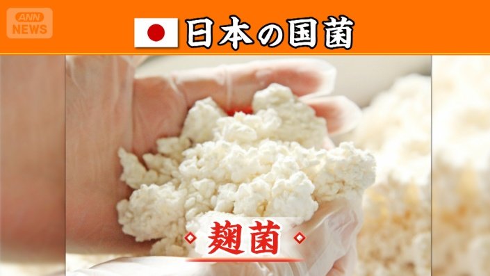 麹