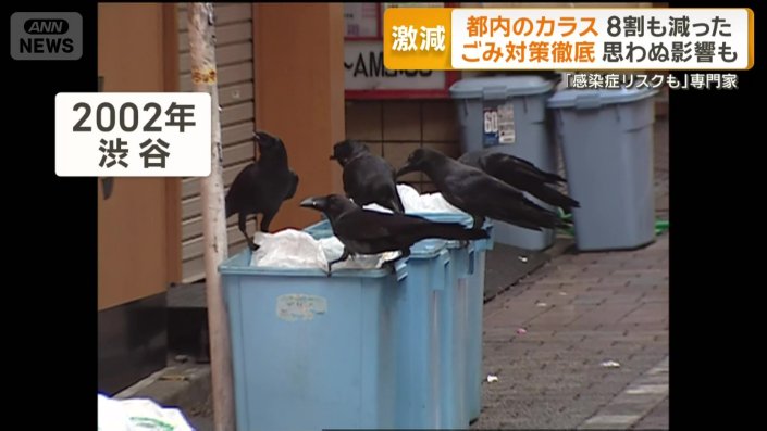 2002年の渋谷センター街のカラス