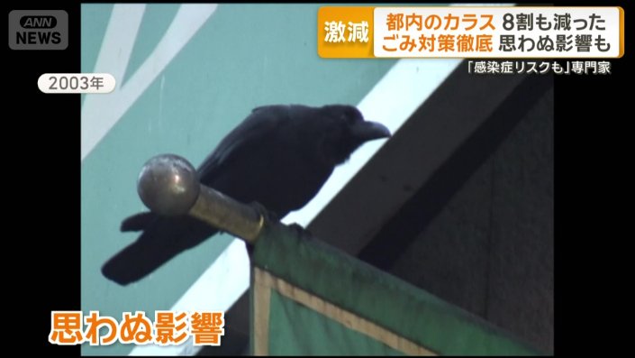 カラスが減りすぎると思わぬ影響