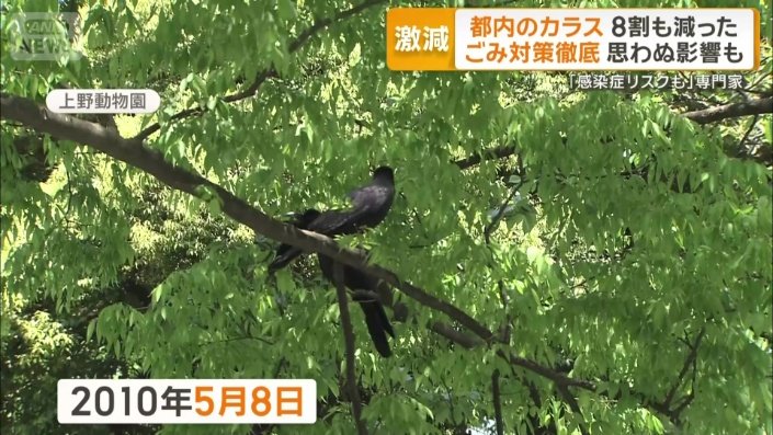2010年5月8日の上野動物園