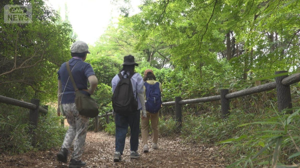 頑張りすぎない“ゆる登山”　山頂まで20分　家族や愛犬と駅近＆低い標高でプチ旅行