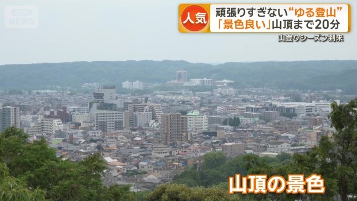 山頂の景色