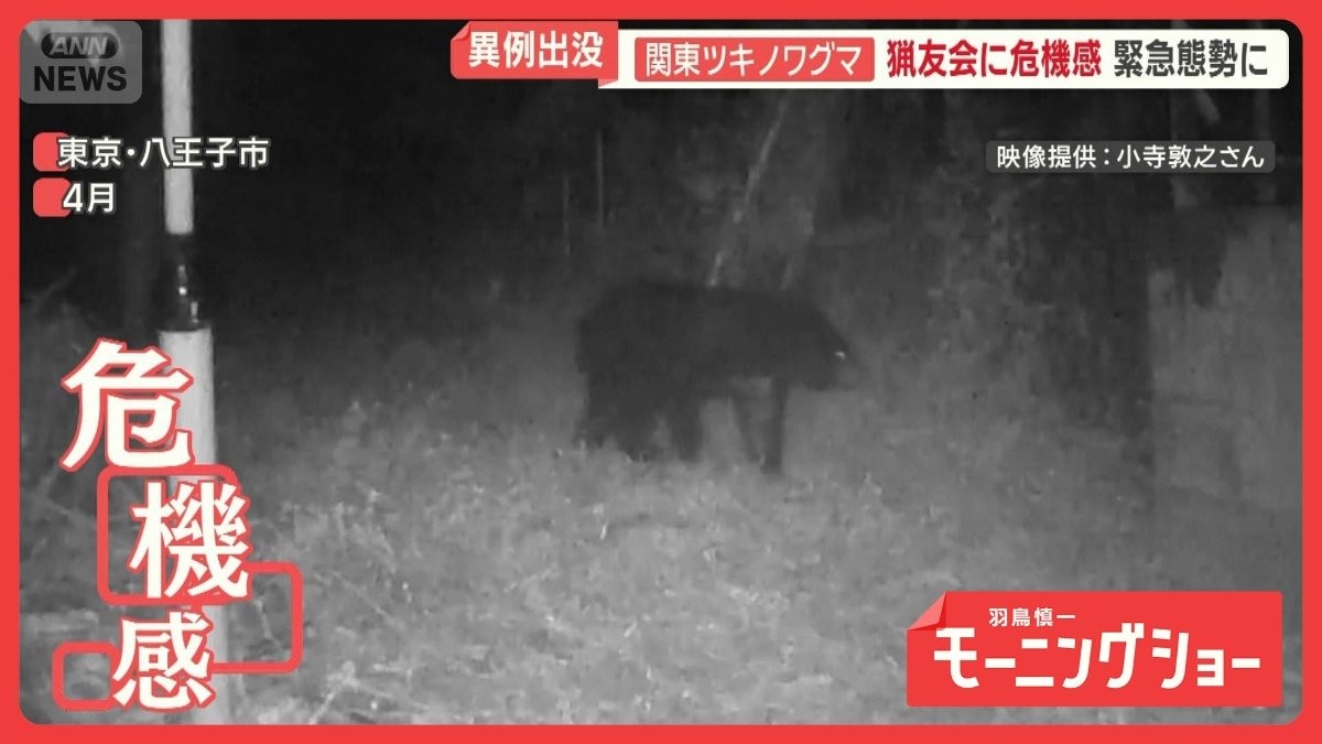 都市部に近づくクマ 東京“20年ぶり”狩猟解禁を検討 ハンターの課題と恐怖