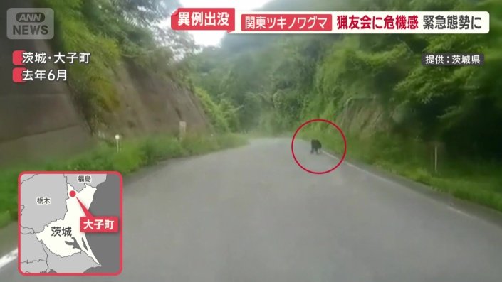 去年、大子町でクマの姿を確認