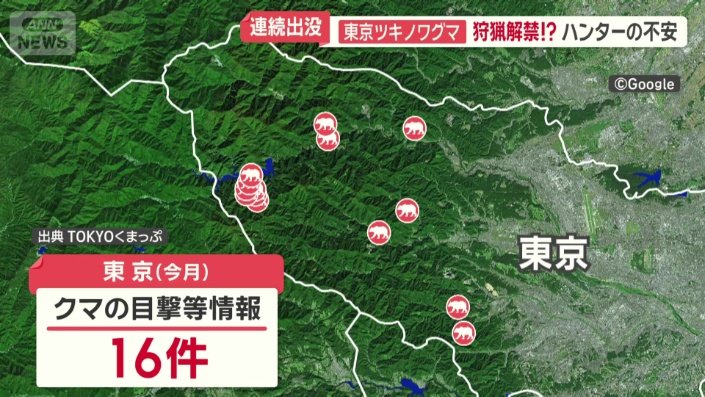 東京(今月)クマの目撃情報16件