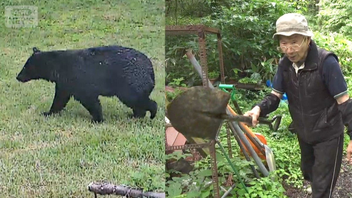 クマに遭遇　88歳男性シャベルで“応戦”　人恐れず広がる行動範囲