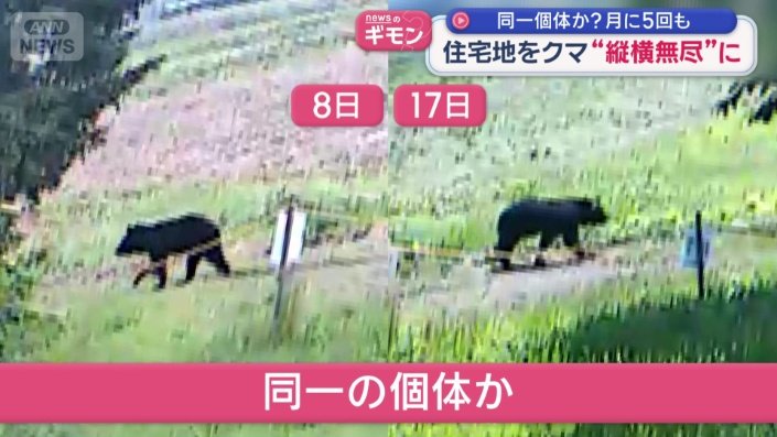 同一の個体?