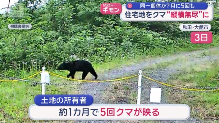 先月の下旬からひと月ほどで、5回もクマが映っていた