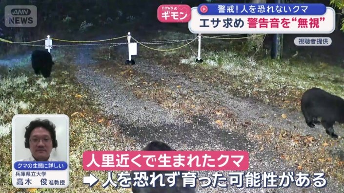 人里の近くで育ったクマは、特に注意が必要