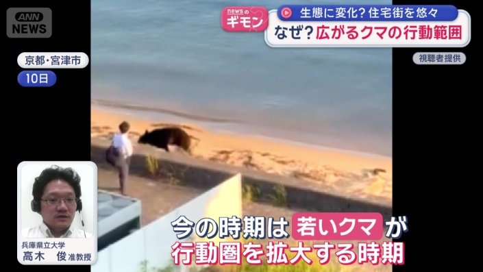 今の時期は…
