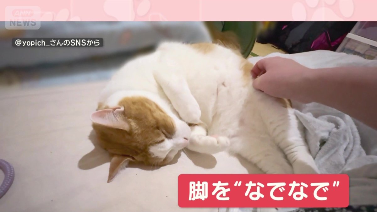 脚をなでられると…