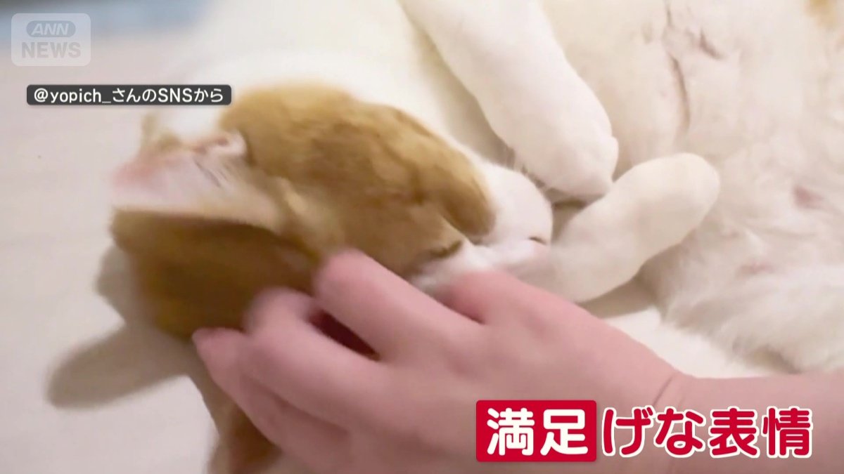 満足げ