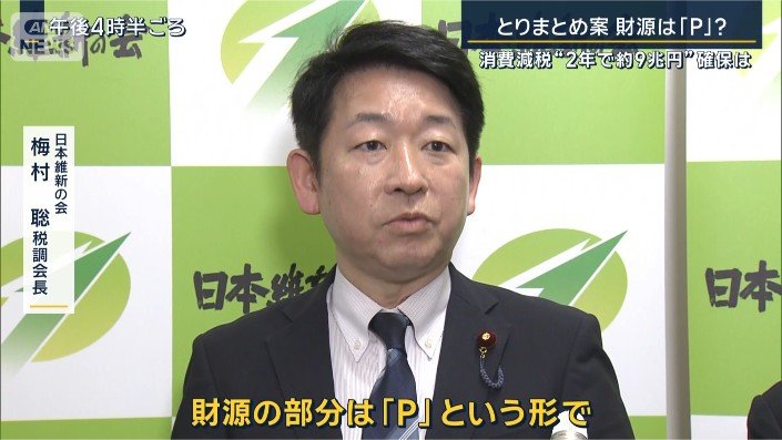 日本維新の会 梅村聡税調会長