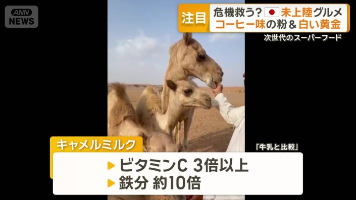 キャメルミルク