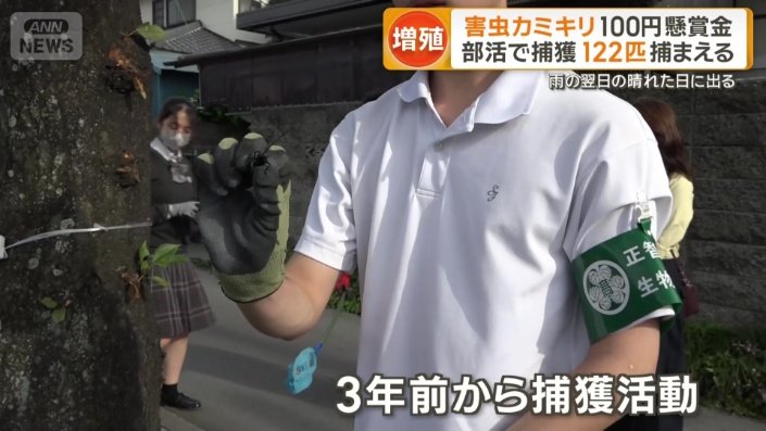 3年前から部活動として捕獲活動
