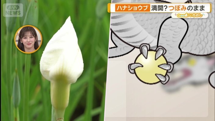 だんだん爪に見えてくる？