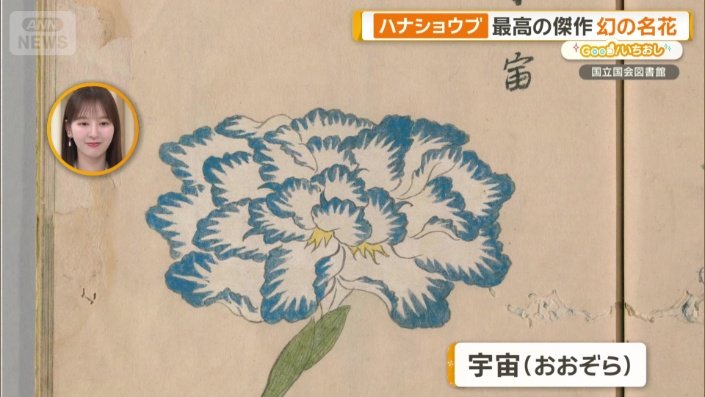 定朝のお気に入りは、最高傑作「宇宙（おおぞら）」