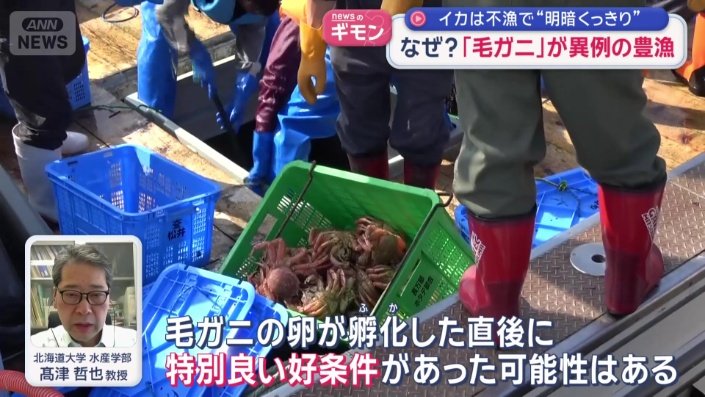 「特別良い好条件があった可能性」