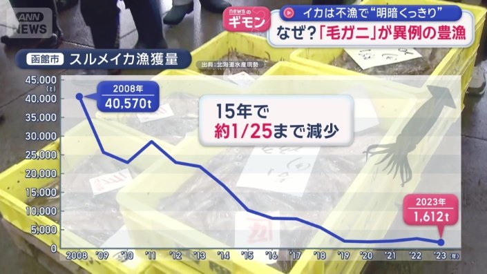 函館のスルメイカの漁獲量