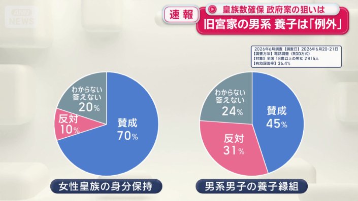 世論調査では