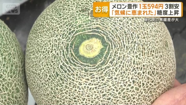 網目が細かく中心に向かって放射状に線