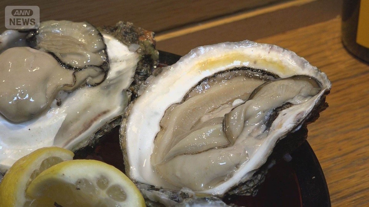 岩ガキ豊漁への期待高まる「身入り最高」　各地で生育順調　大きく濃厚クリーミー