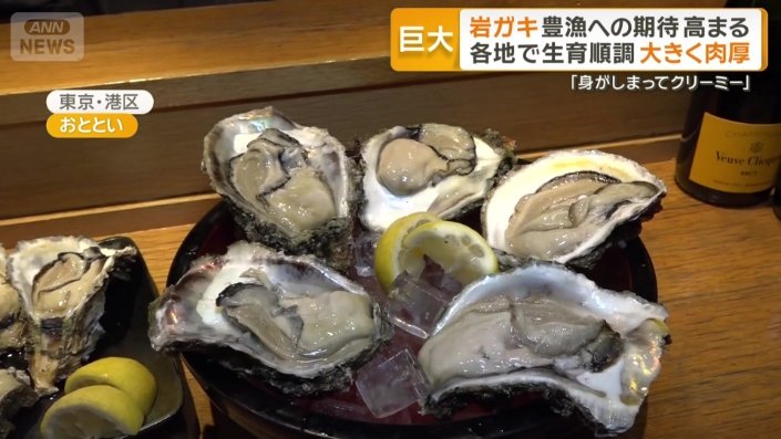 身が詰まった愛媛県産の岩ガキ