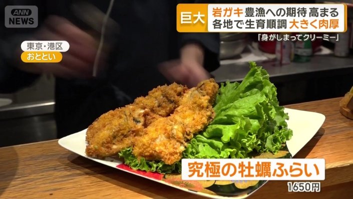 通常よりも2、3倍大きなカキフライ