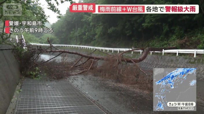 道路をふざぐ木