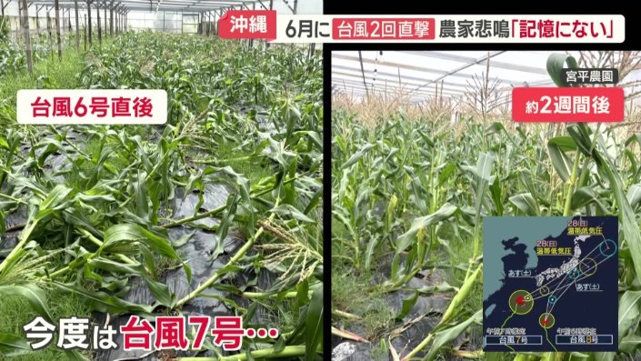 今度は台風7号…