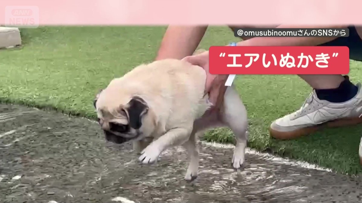 必死に“エアいぬかき”?