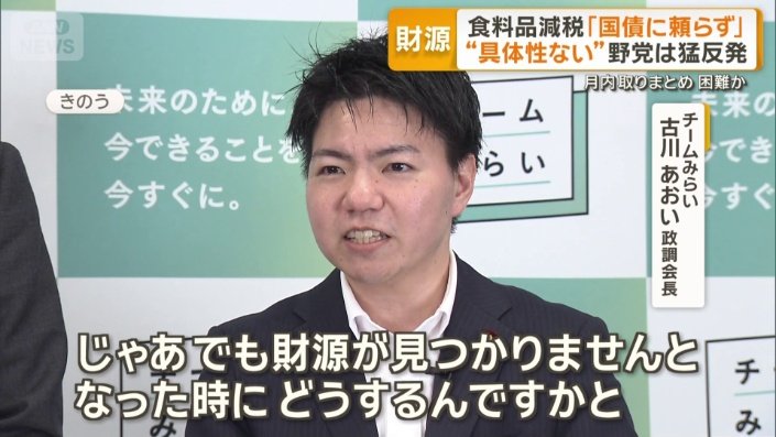 チームみらい 古川あおい政調会長