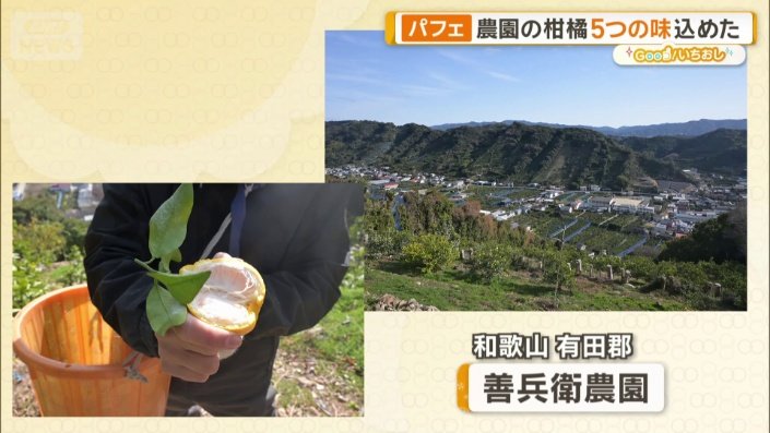 和歌山の200年以上続く農園