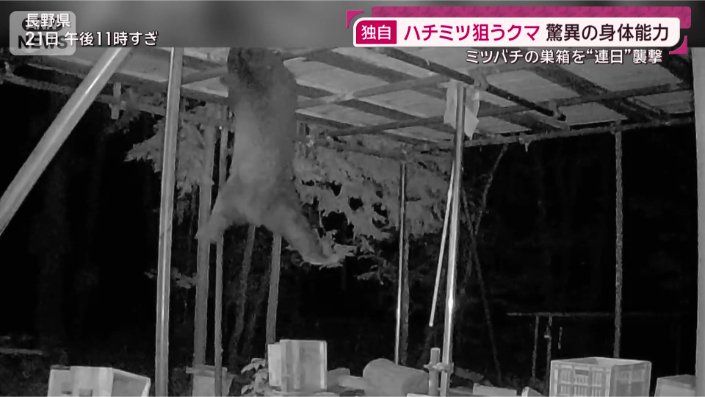 一部始終