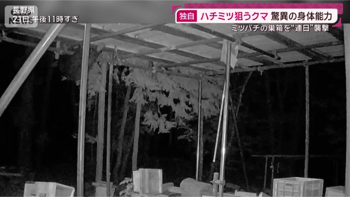 一部始終
