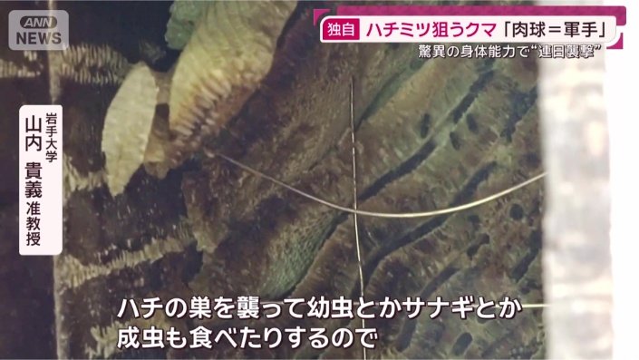 岩手大学 山内貴義 准教授